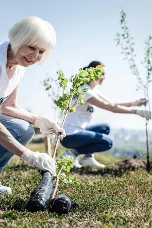 Reflecting on 2024: Strengthening stewardship and engagement for a sustainable future