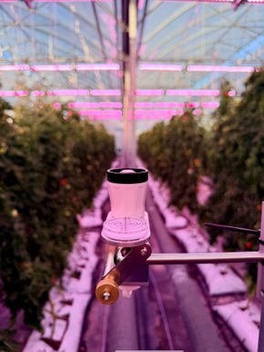 Bloemteknik selected for Eden Project greenhouse installation