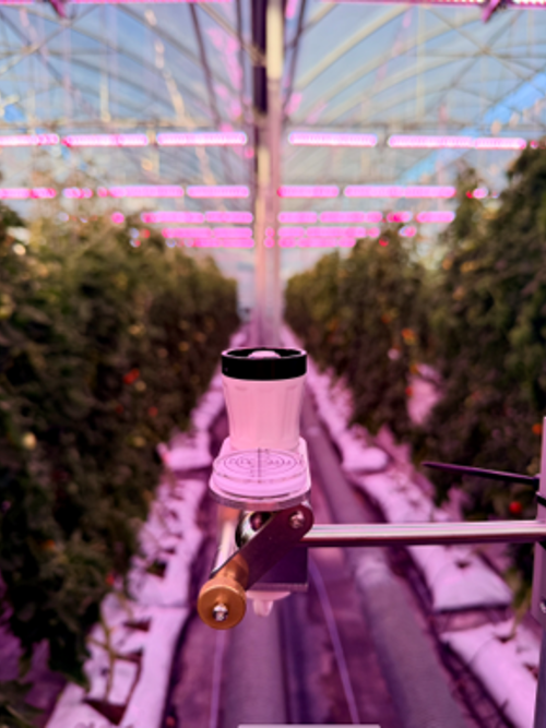 Bloemteknik selected for Eden Project greenhouse installation