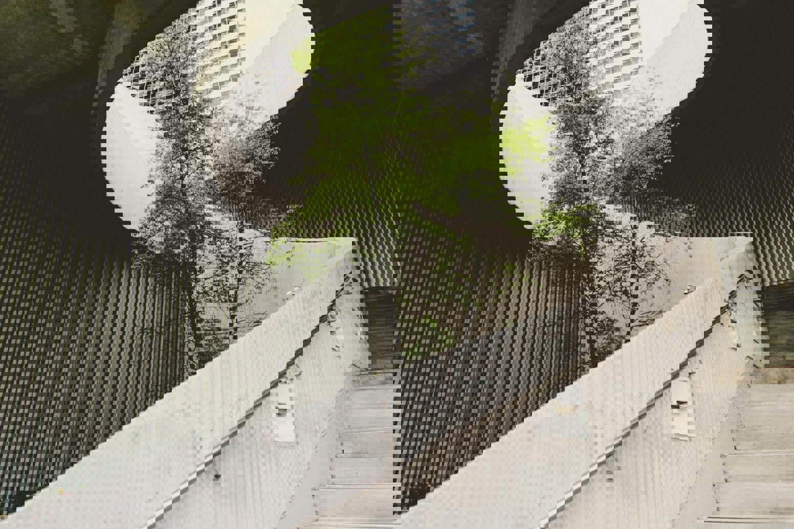 Sustainable investment trends for 2026