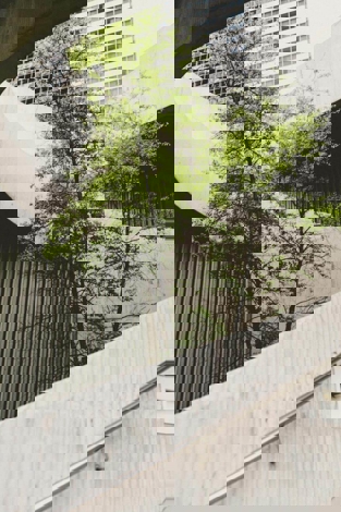 Sustainable investment trends for 2026