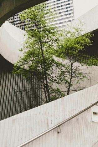 Sustainable investment trends for 2026