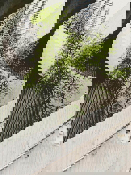 Sustainable investment trends for 2026