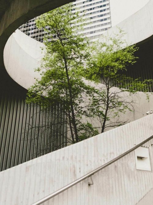 Sustainable investment trends for 2026