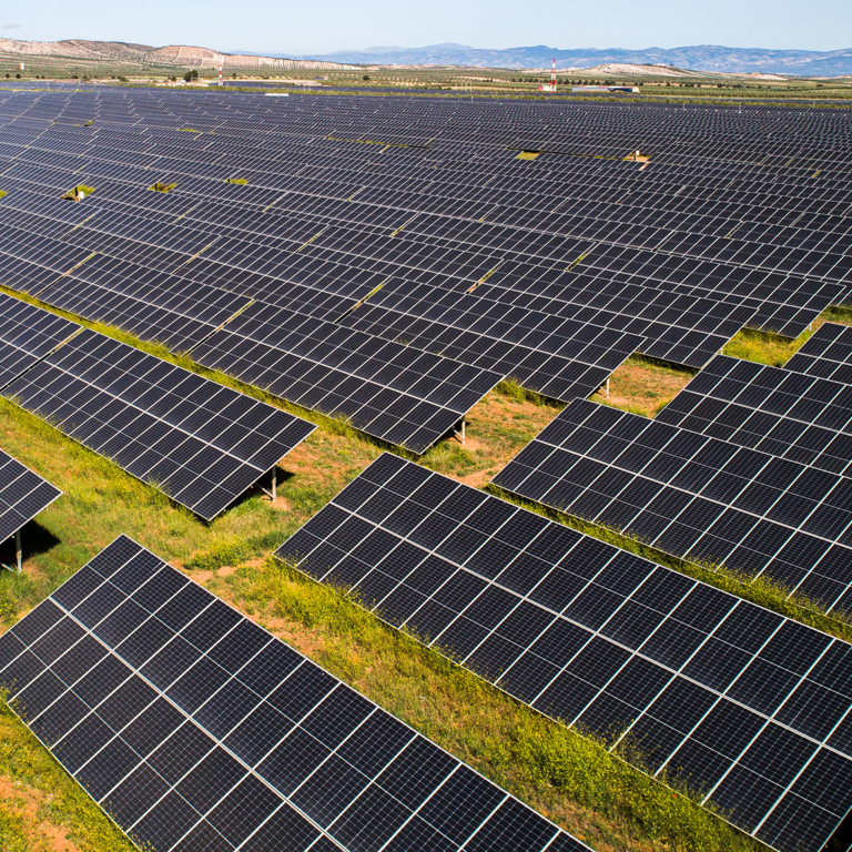 The market opportunity