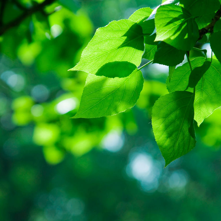 What are the benefits of Foresight AITS?