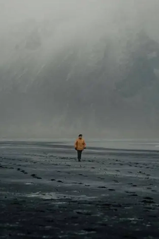 The return of the rational optimist