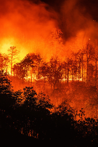 Getting serious about climate adaptation