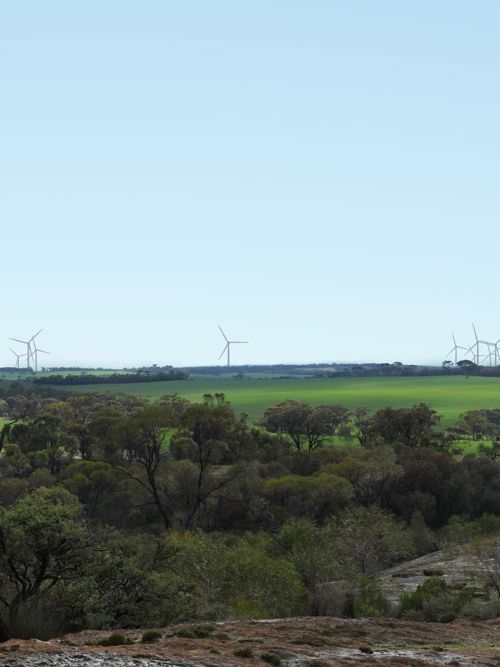Kondinin Wind Farm reaches financial close as 130MW Stage 1 moves into construction