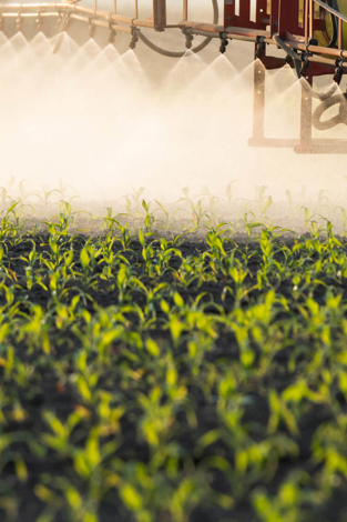 Growing smarter: How innovation helps grow food sustainably