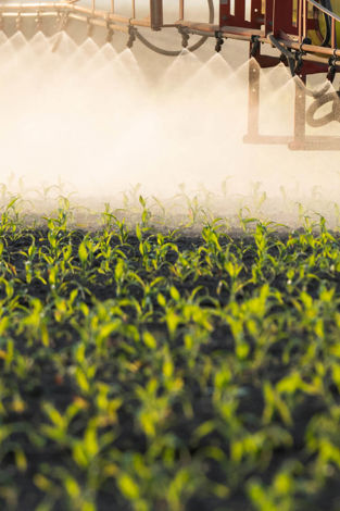 Growing smarter: How innovation helps grow food sustainably