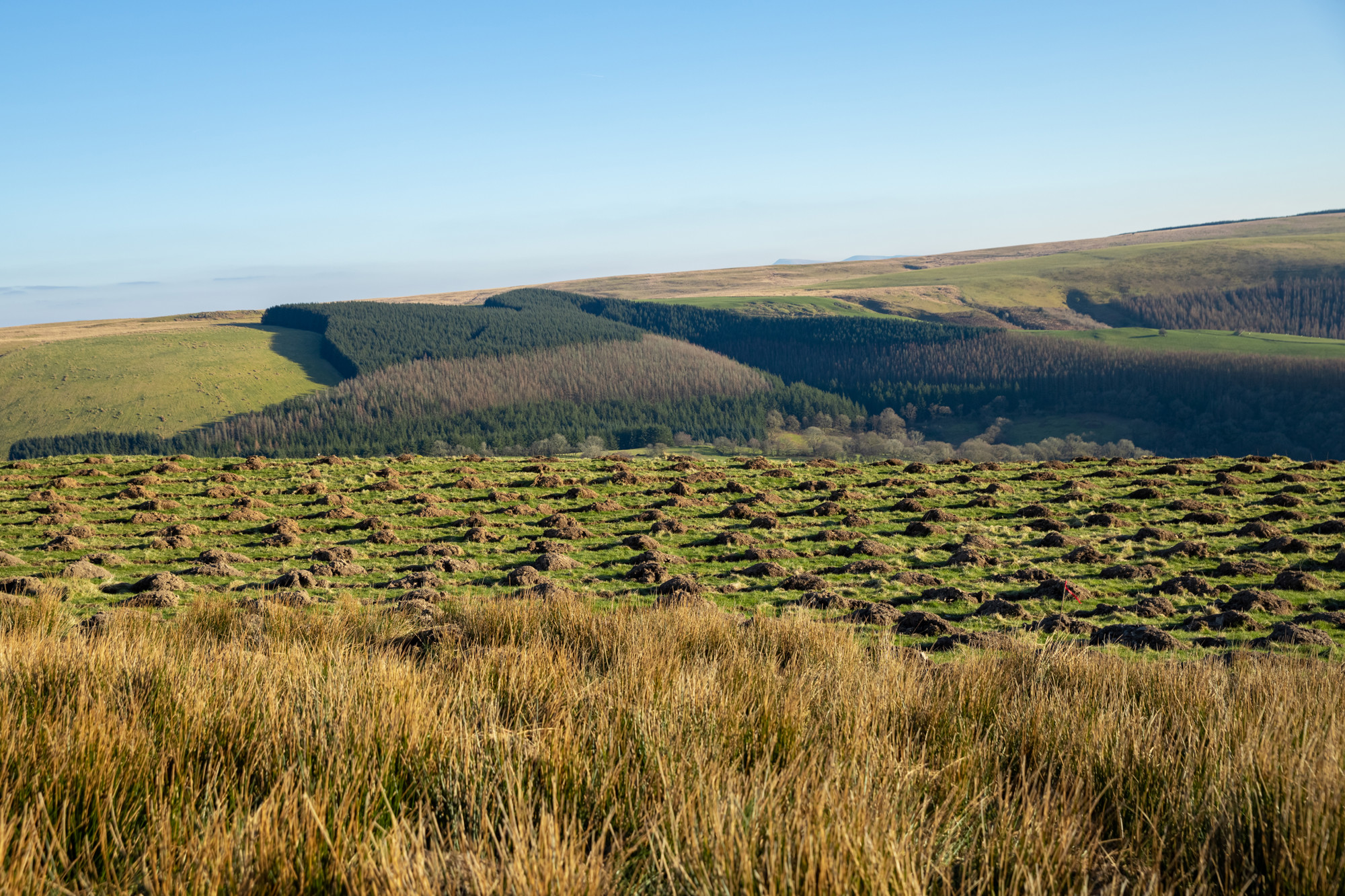 Natural Capital Horizons: Aligning capital, communities