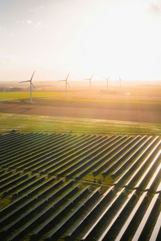 The health of the net-zero transition is in the eye of the beholder