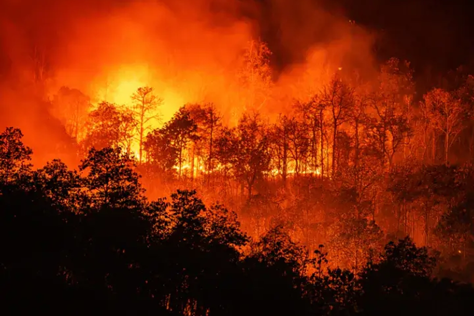 Extreme Heat: The Climate Risk Investors Can’t Ignore