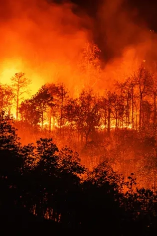 Extreme Heat: The Climate Risk Investors Can’t Ignore
