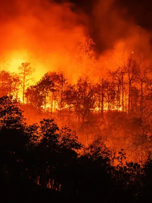 Extreme Heat: The Climate Risk Investors Can’t Ignore