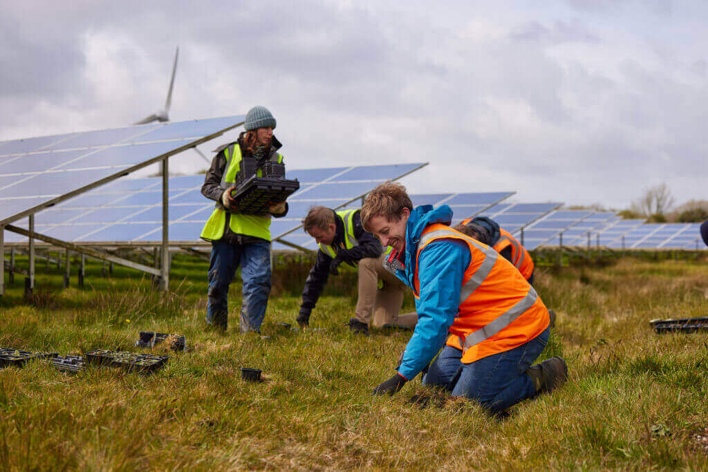 Wind turbines at sunset