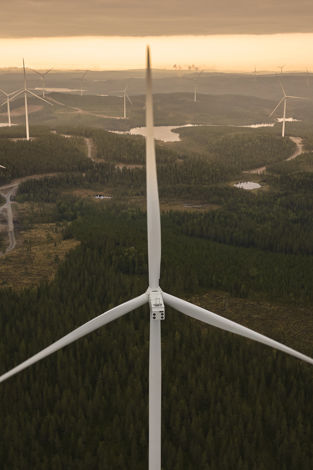 Kölvallen stewardship case study
