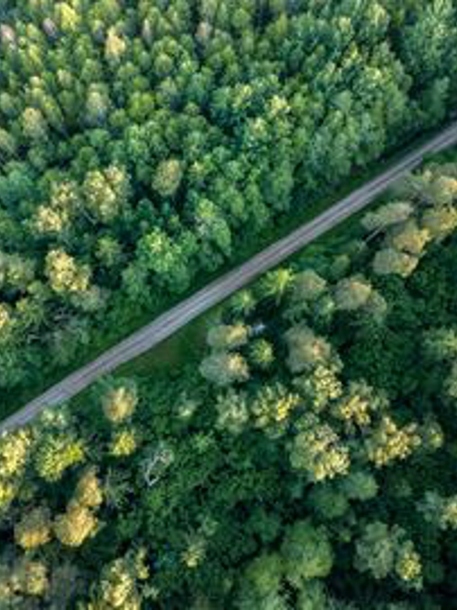 Industrial IoT software company raises £2.1m