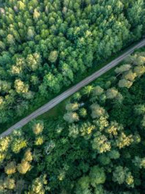 Industrial IoT software company raises £2.1m