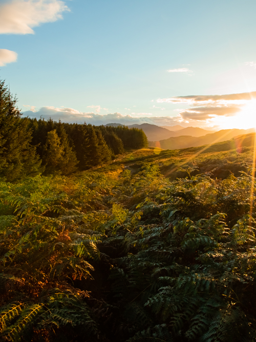 Foresight Group's Natural Capital strategy reaches