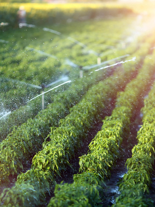 FP WHEB Sustainability Impact Fund Q3 2025 webinar